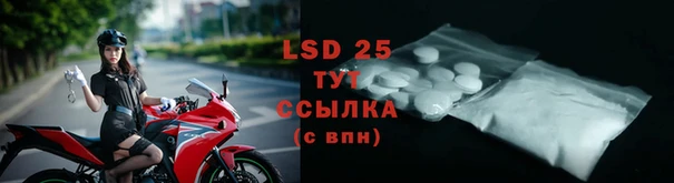 шишки Михайловка
