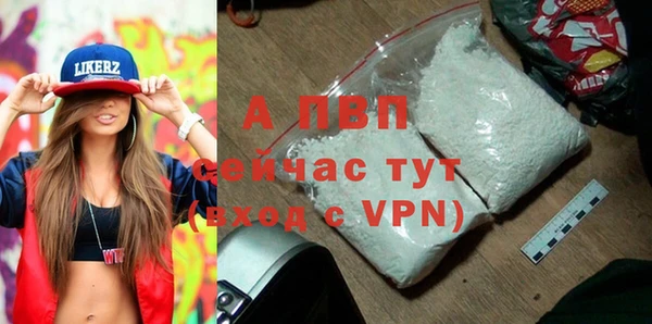 мяу мяу мука Богданович