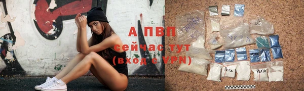 мяу мяу мука Богданович